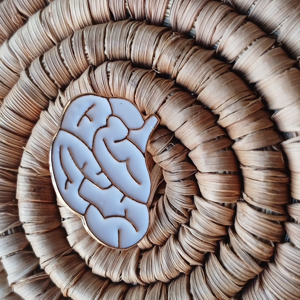 5/$25 NEW Vintage Brain Anatomy Enamel Pin